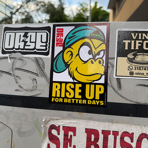 DASE Slap Sticker in the Wild